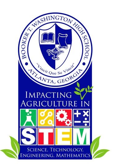 STEM PIC 